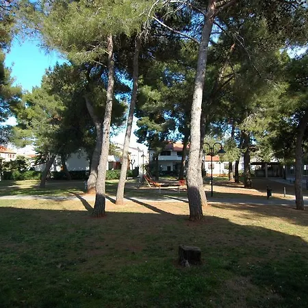 Faber