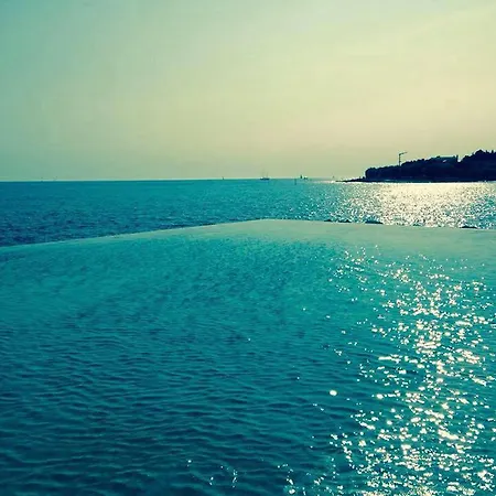 Faber Lägenhet Novigrad Istria